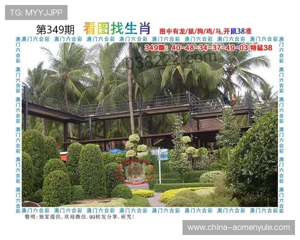 澳门财神游戏最新活动资讯及优惠福利全面介绍